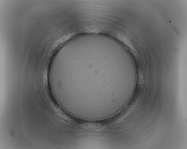 X0000114590681200911091257