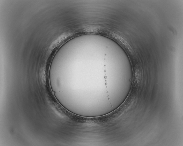 X0000114590682200911091257