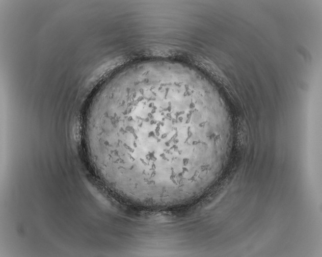 X0000114590683200911091257