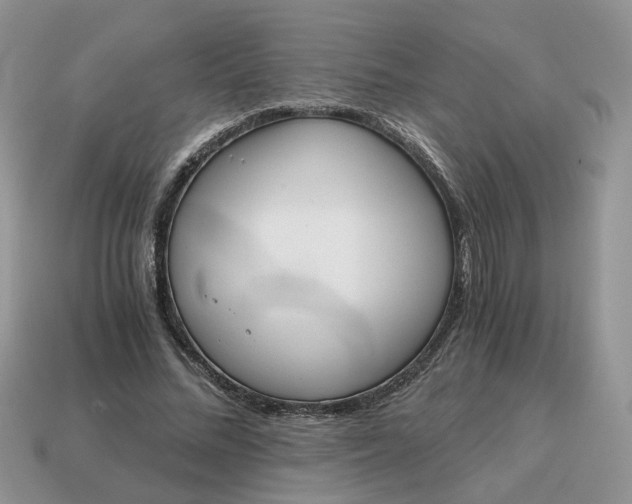 X0000114590684200911091257