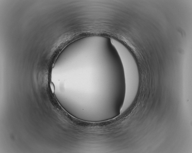 X0000114590685200911091257