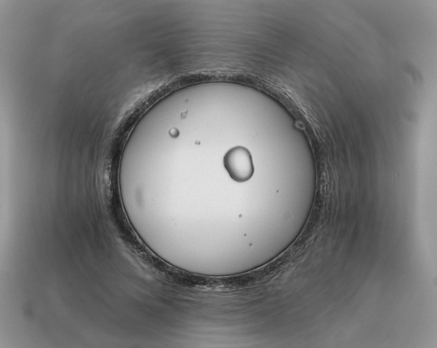 X0000114590688200911091257