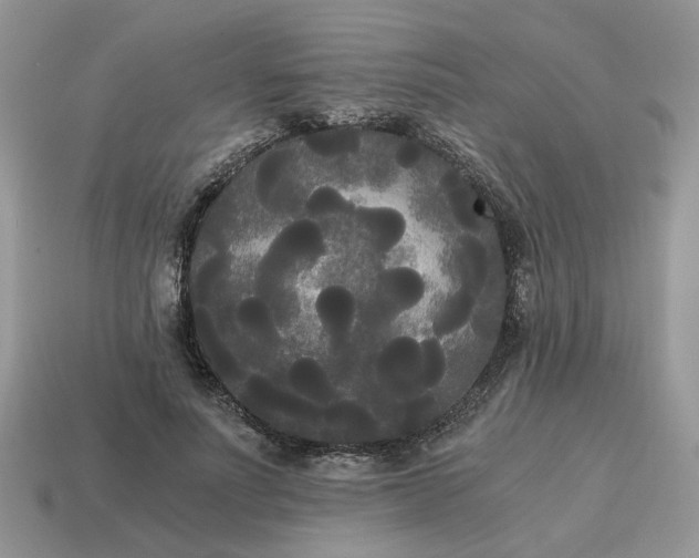 X0000114590691200911091257