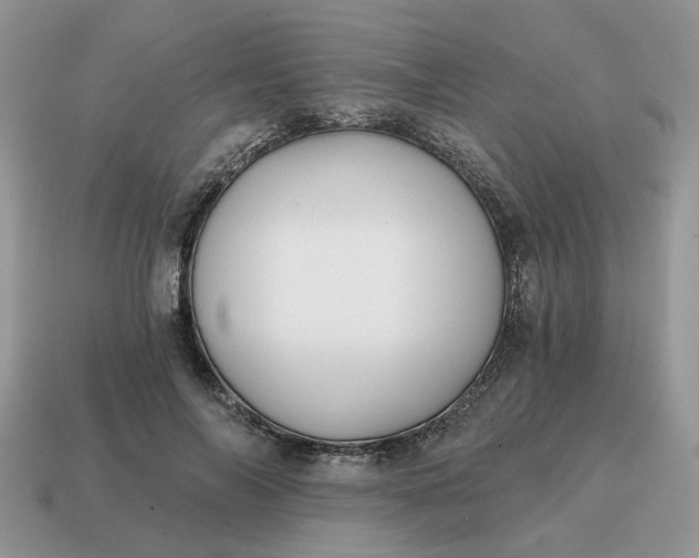 X0000114590694200911091257