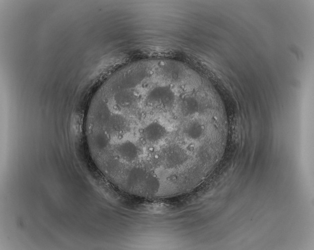 X0000114590695200911091257