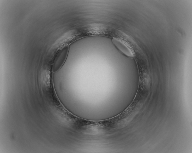 X0000114590696200911091257