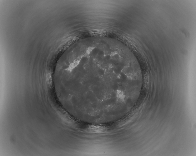 X0000114590699200911091257