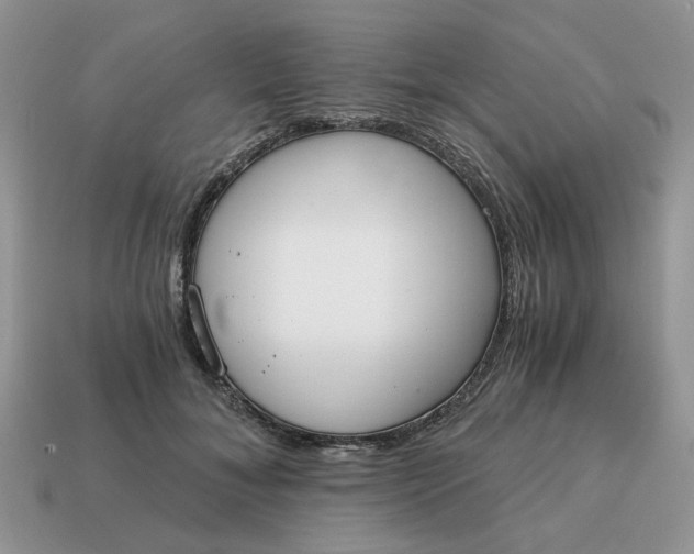 X0000114590700200911091257