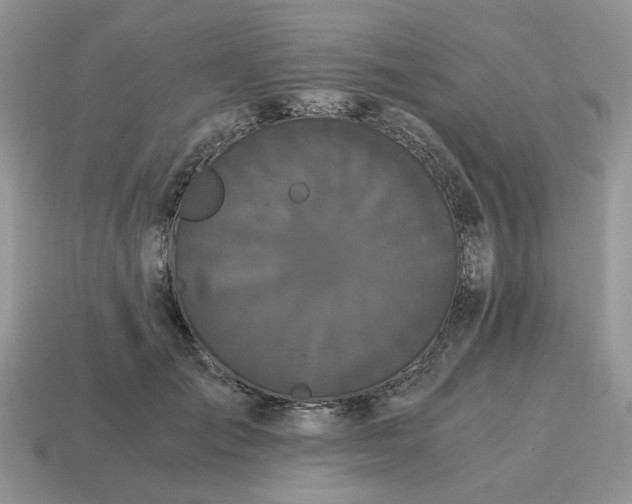 X0000114590701200911091257