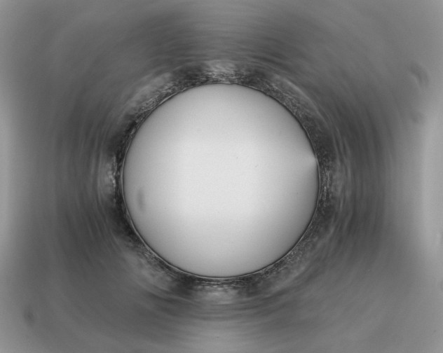 X0000114590702200911091257