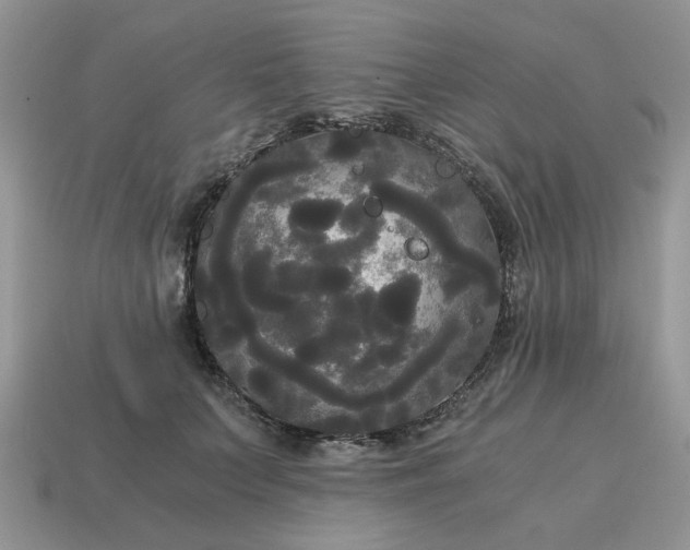 X0000114590703200911091257