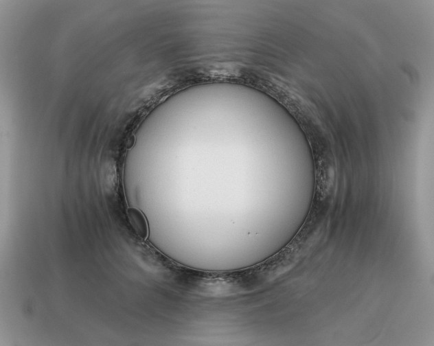 X0000114590704200911091257