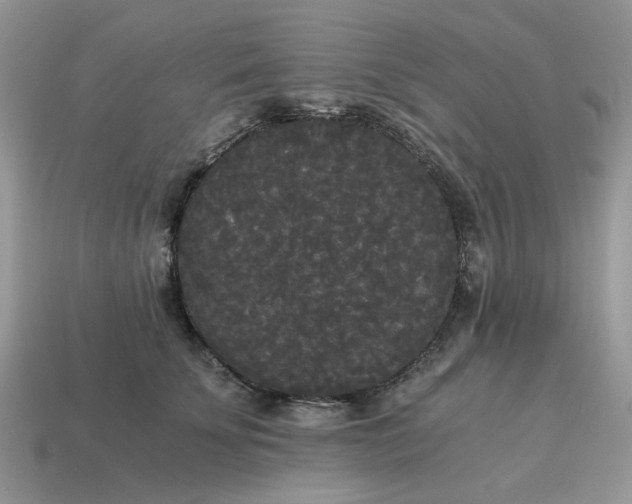 X0000114590707200911091257