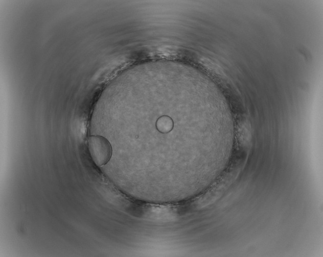 X0000114590709200911091257