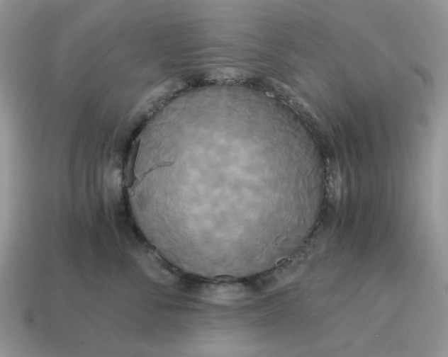 X0000114590716200911091256