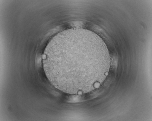 X0000114590717200911091256