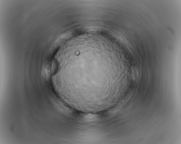 X0000114590718200911091256