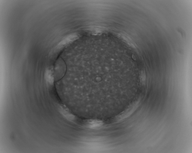 X0000114590719200911091256