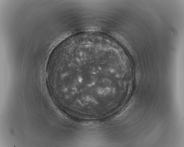 X0000114590721200911091256