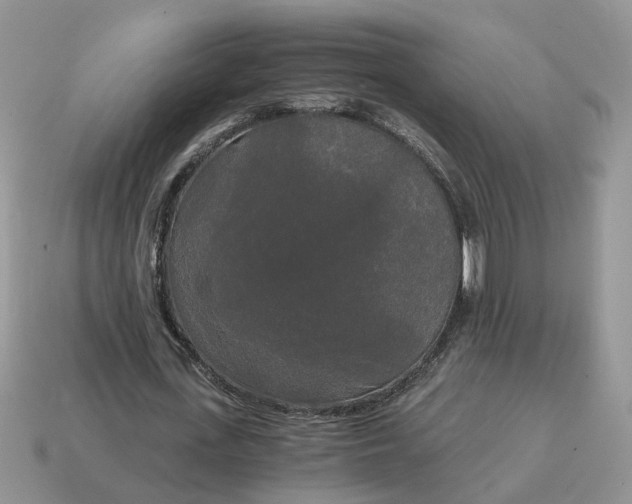 X0000114590723200911091256