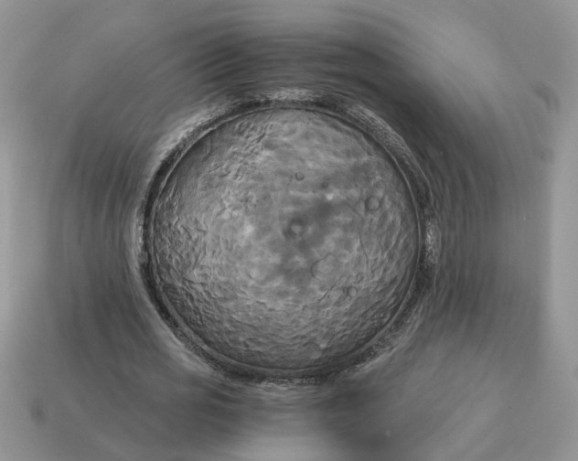 X0000114590725200911091256