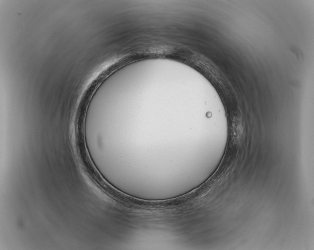 X0000114590726200911091256