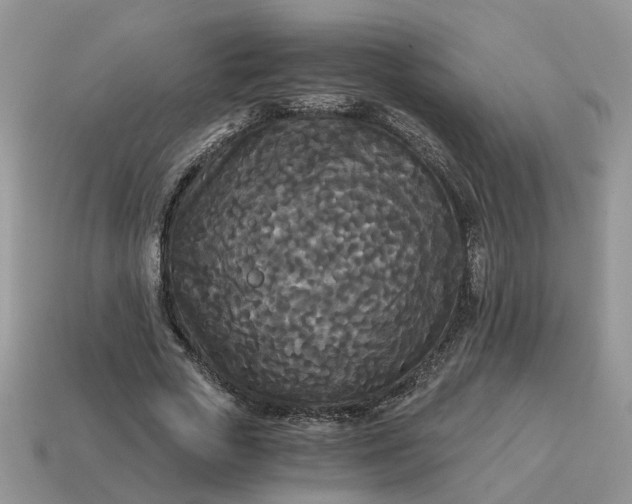 X0000114590729200911091256