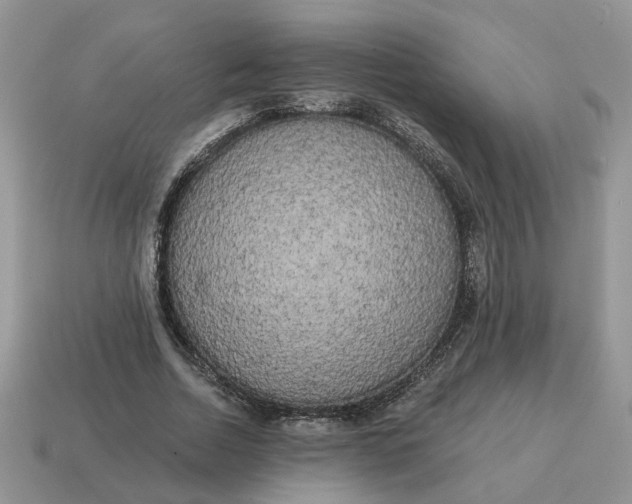 X0000114590730200911091256