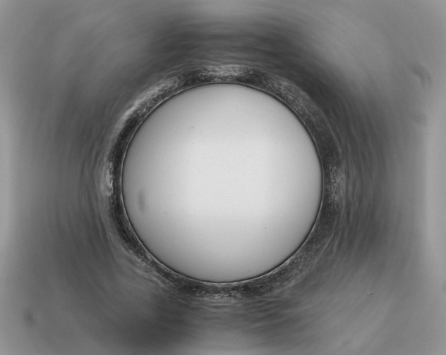 X0000114590731200911091256