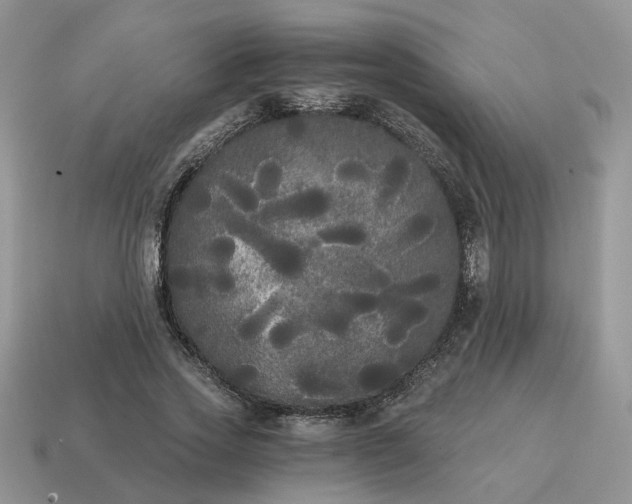 X0000114590733200911091256