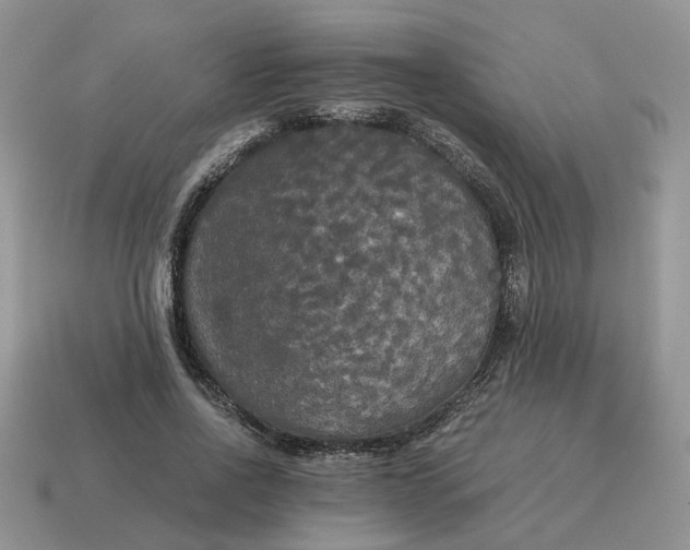 X0000114590734200911091256