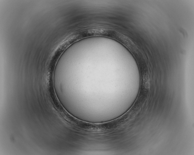 X0000114590735200911091256