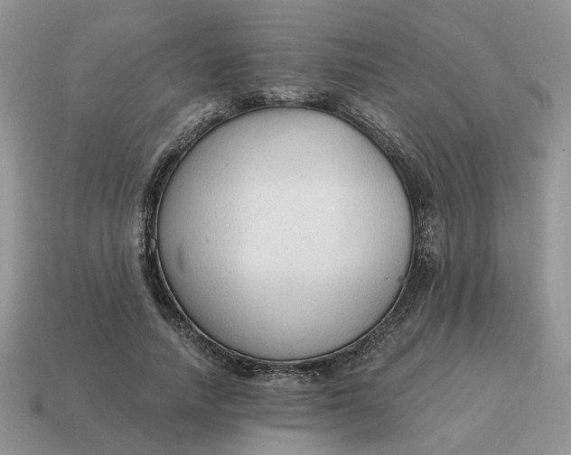 X0000114590738200911091256