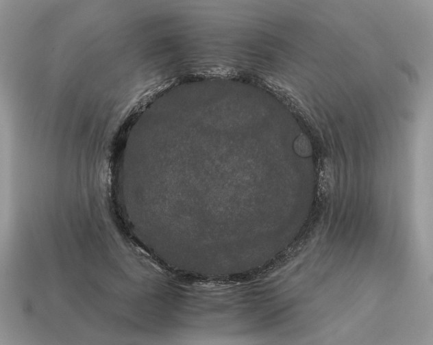 X0000114590739200911091256