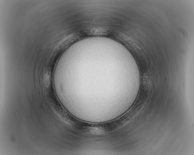 X0000114590741200911091256