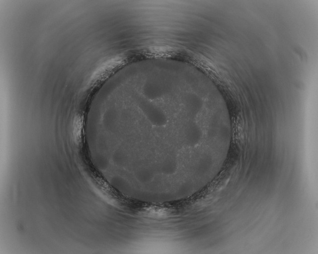 X0000114590742200911091256