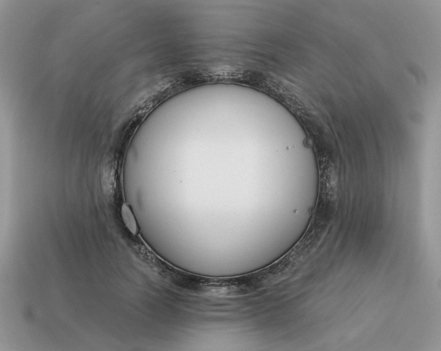 X0000114590746200911091256