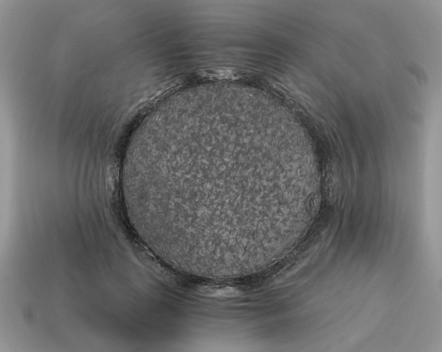 X0000114590747200911091256