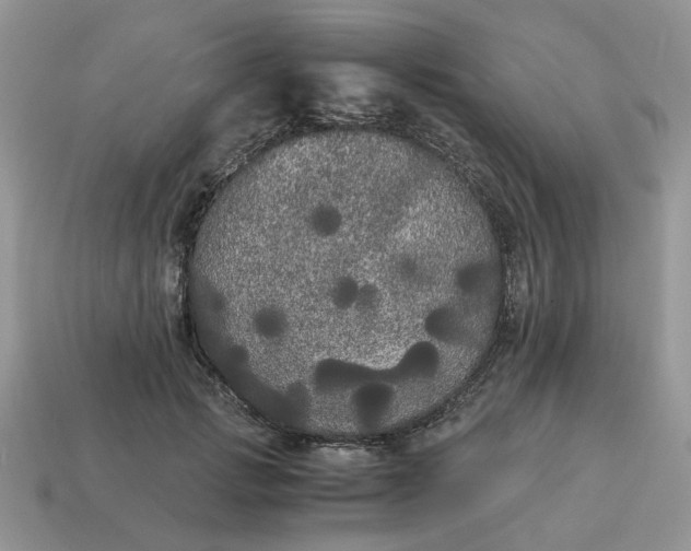 X0000114590749200911091256