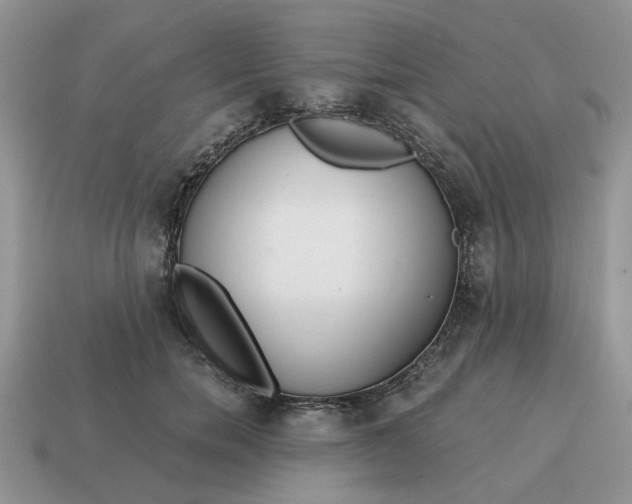 X0000114590750200911091256