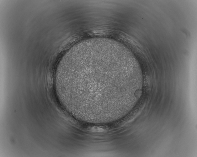 X0000114590751200911091256