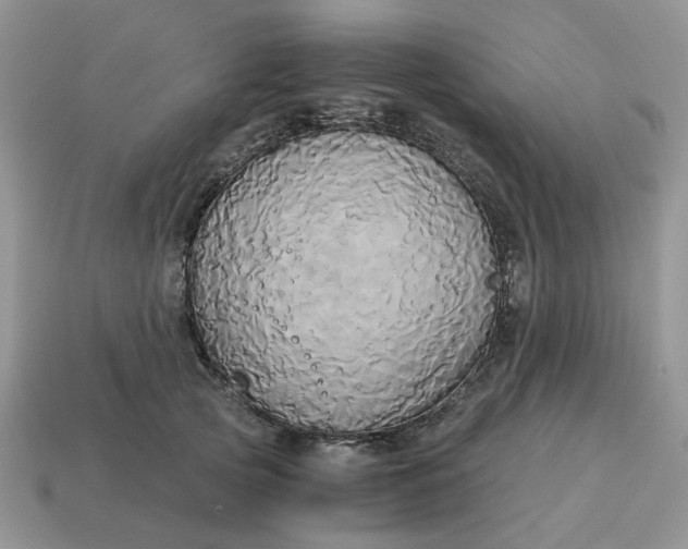 X0000114590753200911091256