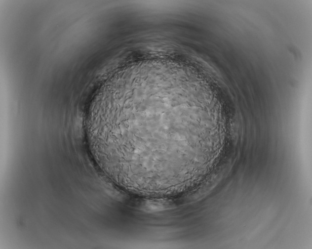 X0000114590757200911091256