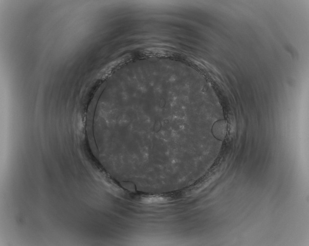 X0000114590759200911091256