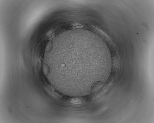 X0000114590761200911091256