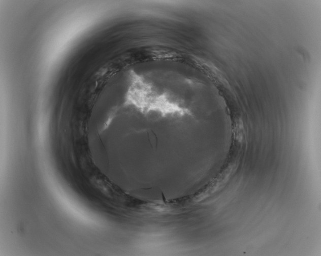 X0000114590763200911091256