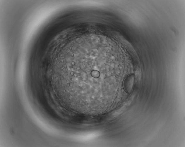 X0000114590765200911091256