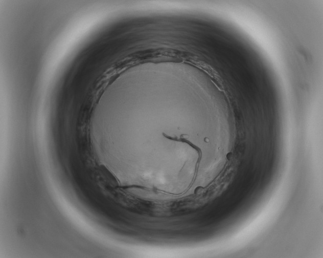 X0000114590766200911091256