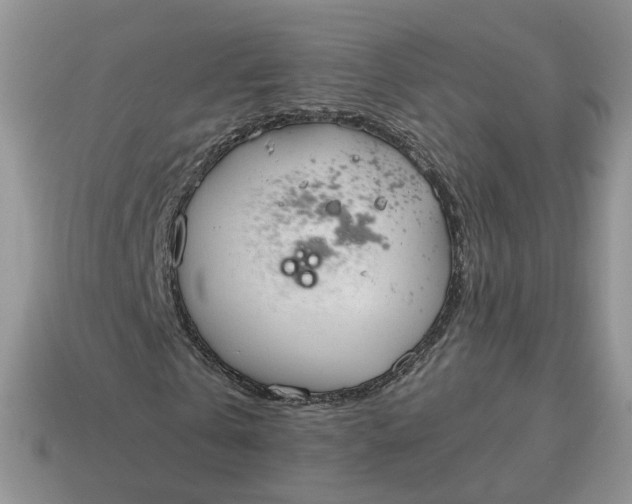 X0000114590769200911091256