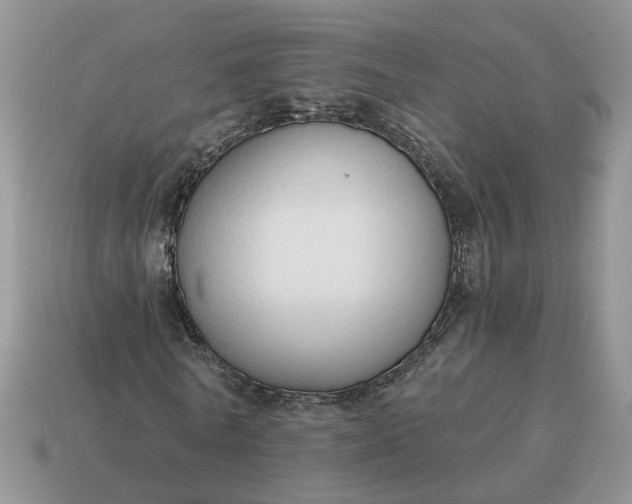 X0000114590770200911091256